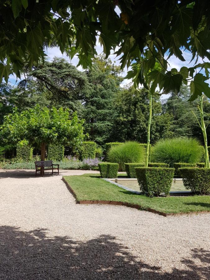 Le Clos De La Deesse La Ferte-Saint-Cyr Exterior photo